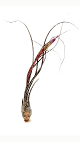 Tillandsia Butzii